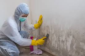 Best Mold Odor Removal Services  in Cottonwood, AZ